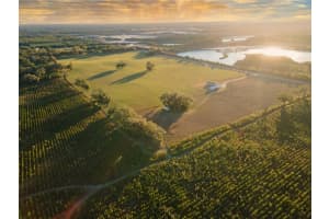 3789 202ND STREET, NEWBERRY, FL 32669 - MLS#MFRGC536691