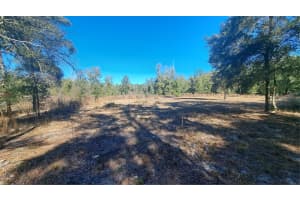 669 SHILOH STREET, FORT WHITE, FL 32038 - MLS#MFRGC536700