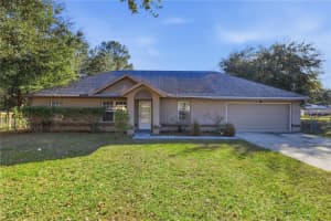 21 PECAN COURSE CIR, OCALA, FL 34472 - MLS#MFRGC536728