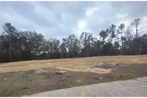 525 BELLFLOWER DRIVE, LAKE CITY, FL 32024 - MLS#MFRGC536730