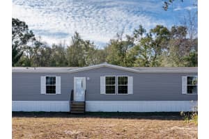 11311 84TH COURT, BRONSON, FL 32621 - MLS#MFRGC536824