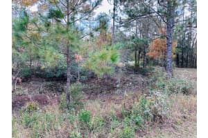 12468 SE HWY 349, OLD TOWN, FL 32680 - MLS#MFRGC536838