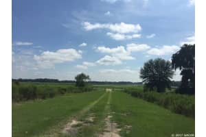 7880 15 STREET, TRENTON, FL 32693 - MLS#MFRGC536876