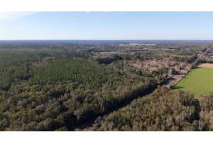 14403 258TH PLACE, ALACHUA, FL 32615 - MLS#MFRGC536890