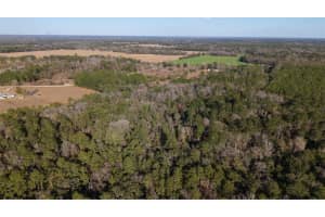 14403 258TH PLACE, ALACHUA, FL 32615 - MLS#MFRGC536890