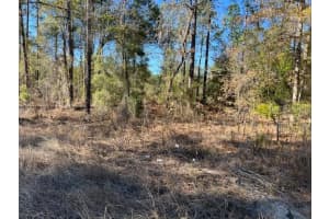 16091 20TH LANE, OCALA, FL 34481 - MLS#MFRGC537028