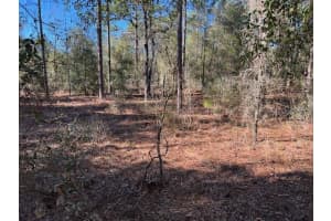 16091 20TH LANE, OCALA, FL 34481 - MLS#MFRGC537028