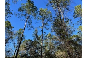 16091 20TH LANE, OCALA, FL 34481 - MLS#MFRGC537028