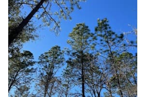 16091 20TH LANE, OCALA, FL 34481 - MLS#MFRGC537028