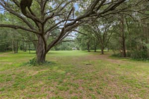 12832 14TH AVENUE, NEWBERRY, FL 32669 - MLS#MFRGC537224
