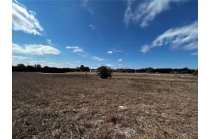 5387 36TH STREET, TRENTON, FL 32693 - MLS#MFRGC537532