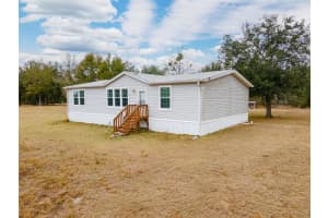 5431 163RD PATH, LIVE OAK, FL 32060 - MLS#MFRGC537537