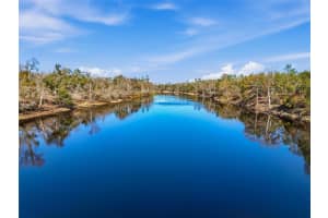 18825 229TH DRIVE, LIVE OAK, FL 32060 - MLS#MFRGC537693