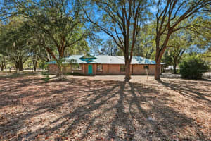 534 THORNE LANE, FORT WHITE, FL 32038 - MLS#MFRGC537714