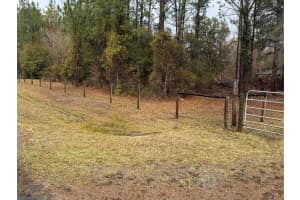 1521 163RD STREET, HAWTHORNE, FL 32640 - MLS#MFRGC537848