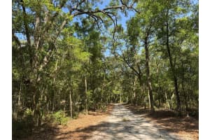 6970 74TH STREET, GAINESVILLE, FL 32609 - MLS#MFRGC537953