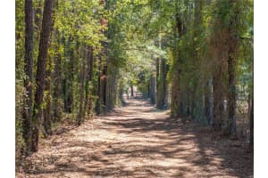 609 96TH PLACE, BRANFORD, FL 32008 - MLS#MFRGC537963