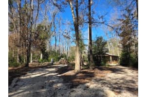 1187 BOSTON TERRACE, FORT WHITE, FL 32038 - MLS#MFRGC538057