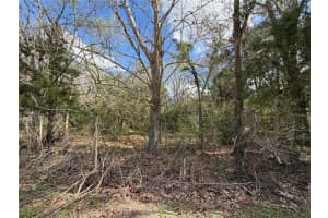 13201 ARCHER LANE, ARCHER, FL 32618 - MLS#MFRGC538092