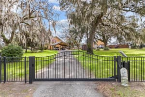 367 BLUE BIRD COURT, FORT WHITE, FL 32038 - MLS#MFRGC538118