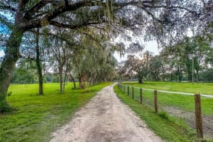 16242 130TH STREET, WILLISTON, FL 32696 - MLS#MFRGC538121