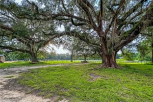 16242 130TH STREET, WILLISTON, FL 32696 - MLS#MFRGC538121