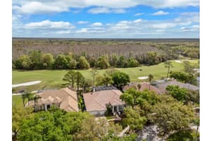 17815 OSPREY POINTE PLACE, TAMPA, FL 33647 - MLS#MFRGC538188