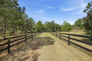 22317 188TH STREET, HIGH SPRINGS, FL 32643 - MLS#MFRGC538296