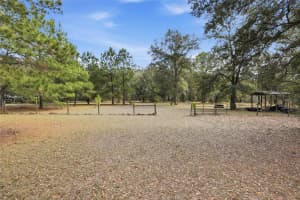 22317 188TH STREET, HIGH SPRINGS, FL 32643 - MLS#MFRGC538296