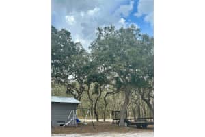 1150 NE 115 AVE, SILVER SPRINGS, FL 34488 - MLS#MFRGC538336