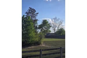 9567 98TH AVENUE, GAINESVILLE, FL 32608 - MLS#MFRGC538346