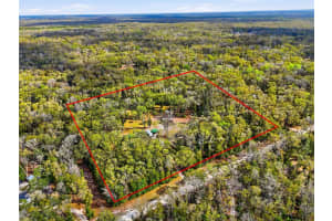 167 212TH AVENUE, OLD TOWN, FL 32680 - MLS#MFRGC538363