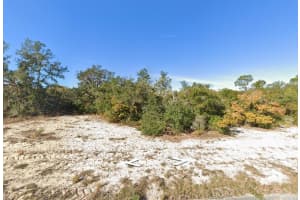 1238 BALTIC DRIVE, KISSIMMEE, FL 34759 - MLS#MFRGC538366