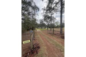 10330 90TH STREET, BRONSON, FL 32621 - MLS#MFRGC538390