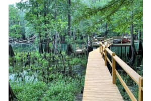 1376 RIVERSIDE AVENUE, FORT WHITE, FL 32038 - MLS#MFRGC538464