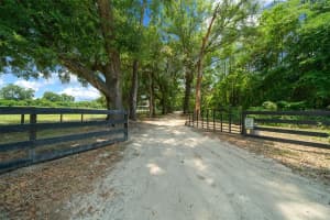 13576 NW NW COUNTY ROAD 235, ALACHUA, FL 32615 - MLS#MFRGC538499
