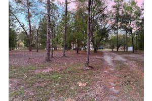 262 98TH LANE, BRANFORD, FL 32008 - MLS#MFRGC538581