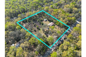 16564 85TH TERRACE, FANNING SPRINGS, FL 32693 - MLS#MFRGC538629