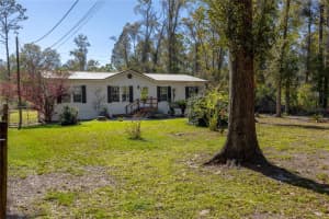 16564 85TH TERRACE, FANNING SPRINGS, FL 32693 - MLS#MFRGC538629