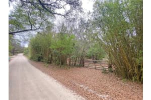 119 TWIN LAKES ROAD, HAWTHORNE, FL 32640 - MLS#MFRGC538681