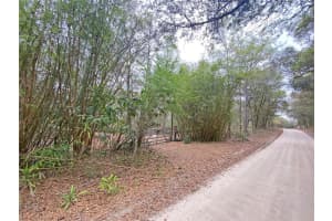 119 TWIN LAKES ROAD, HAWTHORNE, FL 32640 - MLS#MFRGC538681