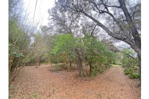 119 TWIN LAKES ROAD, HAWTHORNE, FL 32640 - MLS#MFRGC538681