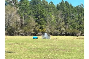 14182 SW 161ST ST, BROOKER, FL 32622 - MLS#MFRGC538775