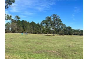 14182 SW 161ST ST, BROOKER, FL 32622 - MLS#MFRGC538775