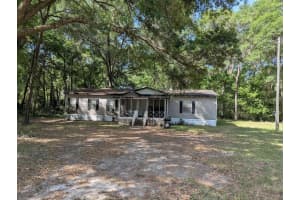 15319 114TH PLACE, ARCHER, FL 32618 - MLS#MFRGC538788