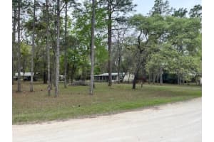 14890 20TH STREET, MORRISTON, FL 32668 - MLS#MFRGC538825