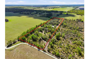 29578 63RD AVENUE, NEWBERRY, FL 32669 - MLS#MFRGC538908