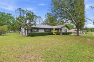 295 BLUEBERRY PLACE, LAKE CITY, FL 32024 - MLS#MFRGC539013