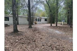 5613 202ND PLACE, ALACHUA, FL 32615 - MLS#MFRGC539016