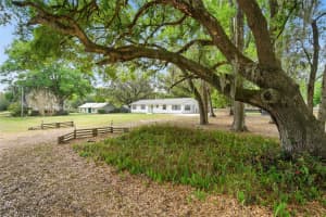 6820 78TH STREET, GAINESVILLE, FL 32608 - MLS#MFRGC539068